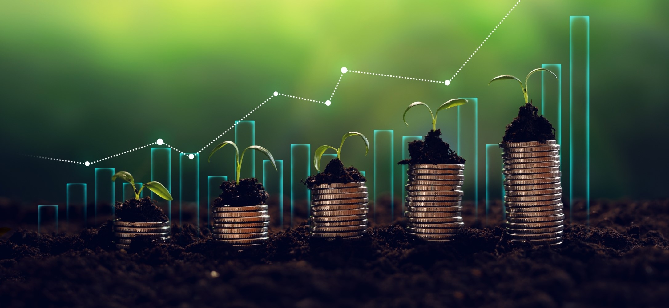 https://www.stanfordcapital.in/images/service-head/service-head-4.jpg